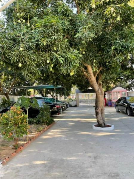 Mango Villa Long Hai Beach المظهر الخارجي الصورة