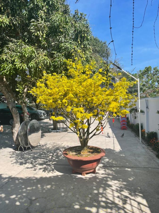 Mango Villa Long Hai Beach المظهر الخارجي الصورة